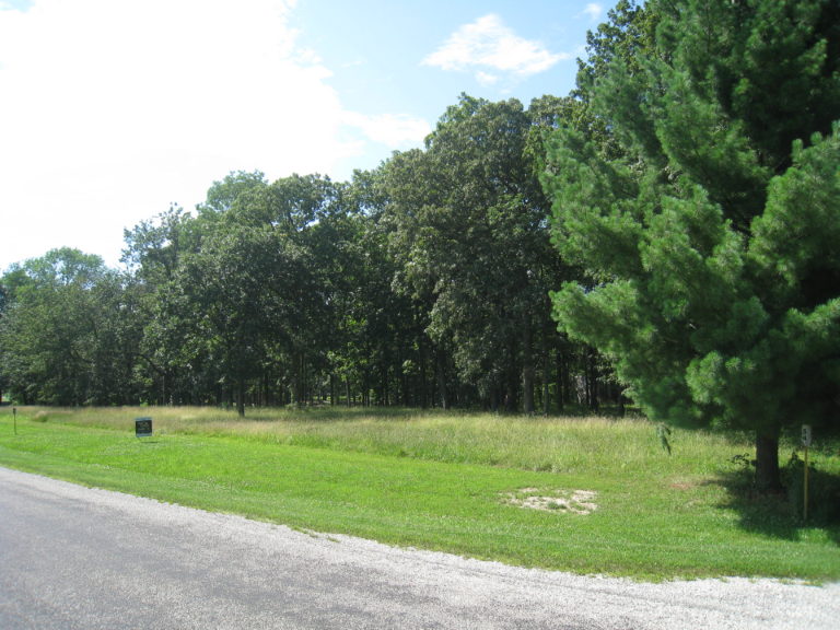 Oak Terrace Real Estate Houses for Sale in Pana IL